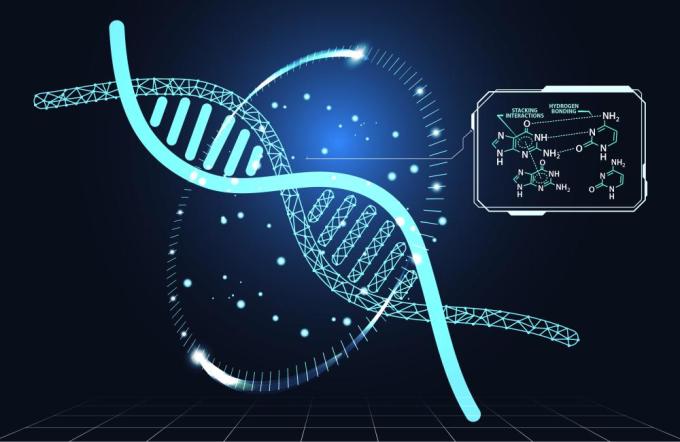 A Technical Research Study on Molecular Hydrogen Simulation, Hybrid Quantum-Classical Computing, and Cryptographically Auditable Scientific Execution